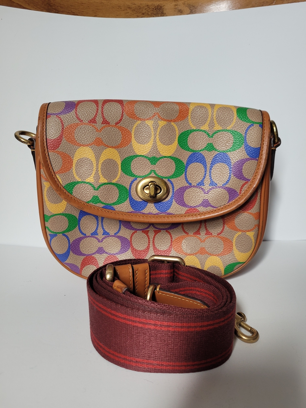 Coach Willow Saddle Bag in Rainbow Signature Canvas
